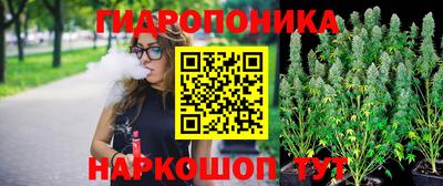 гидра Рузаевка
