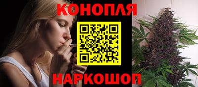 гидра Рузаевка