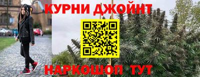 гидра Рузаевка