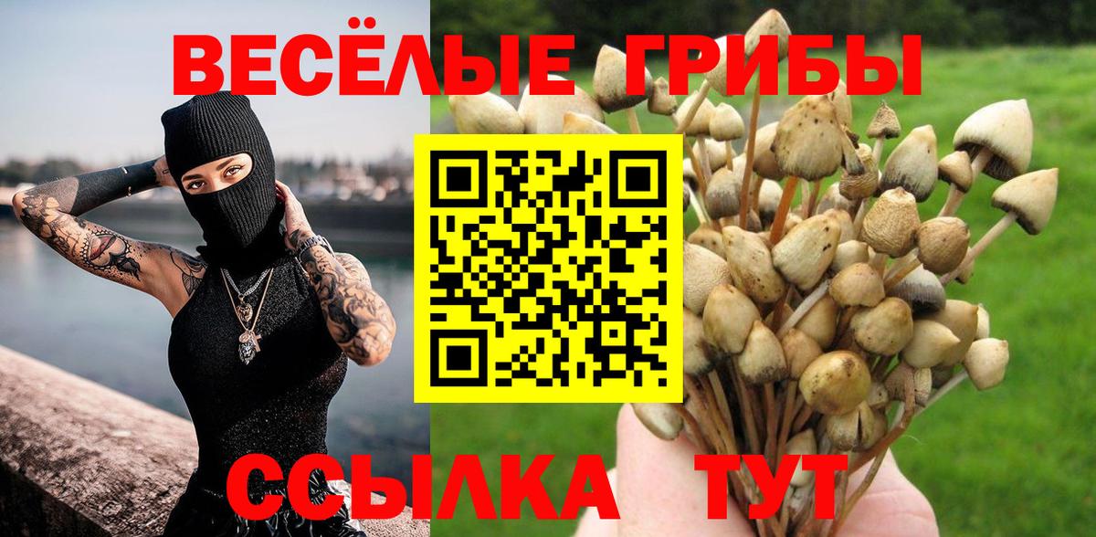 Галлюциногенные грибы мицелий  Галлюциногенные грибы MAGIC MUSHROOMS  Вход с VPN  Спасск-Дальний 